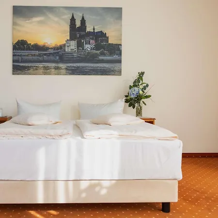 Mercure Plaza 4*